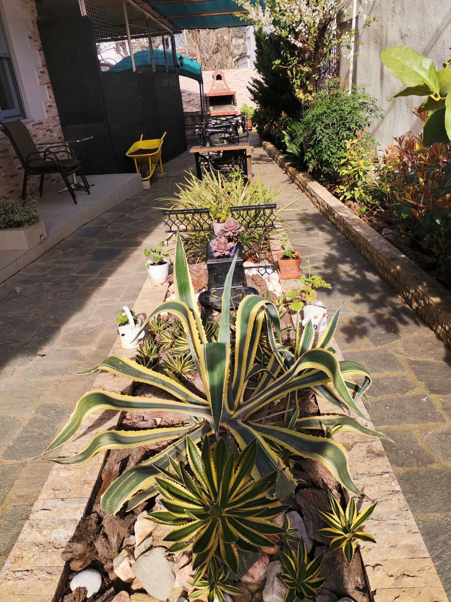 Studios Lia Adults Only -Fully Renovated Chrysi Ammoudia Exterior foto